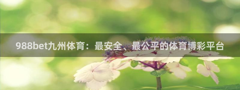 360直播nba直播吧：988bet九州体育：最安全、最公平的体育博彩平台