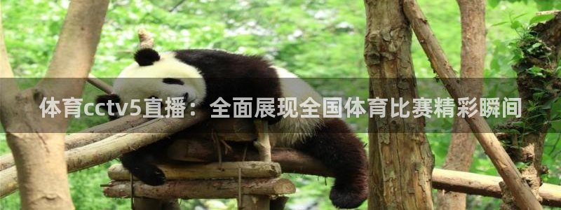 足协杯直播360：体育cctv5直播：全面展现全国体育比赛精彩瞬间
