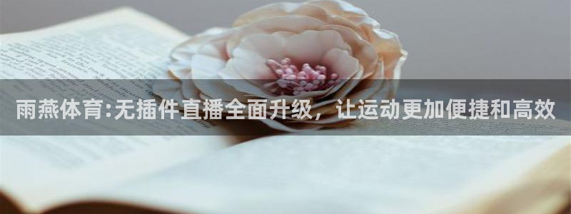 360直播体育直播录像：雨燕体育:无插件直播全面升级，让运动更加便捷和高效