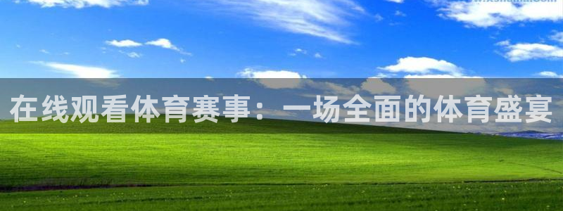 360视频直播体育：在线观看体育赛事：一场全面的体育盛宴
