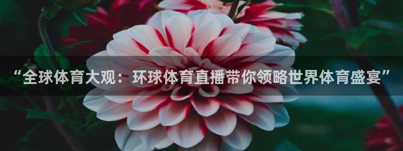 360雨燕直播足球：“全球体育大观：环球体育直播带你领略世界体育盛宴”