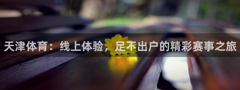 360体育斯诺克直播：天津体育：线上体验，足不出户的精彩赛事之旅