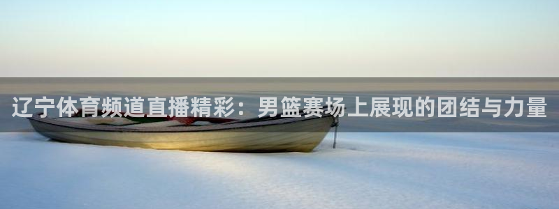 雨燕360体育直播大厅购彩.最新的页面.top：辽宁体育频道直播精彩：男篮赛场上展现的团结与力量