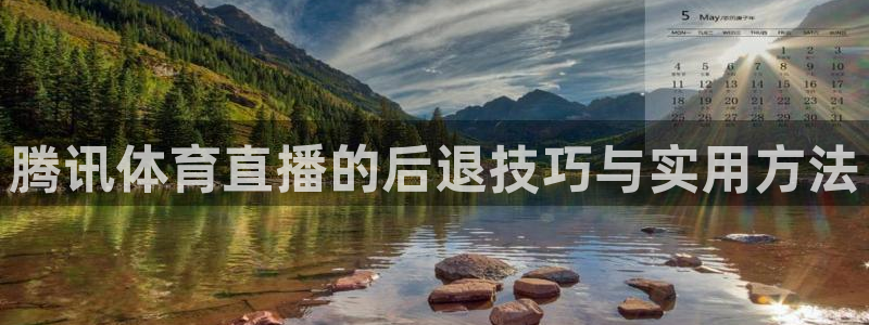 360直播雨燕足球在线观看：腾讯体育直播的后退技巧与实用方法