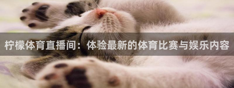 广东体育无插件直播360：柠檬体育直播间：体验最新的体育比赛与娱乐内容