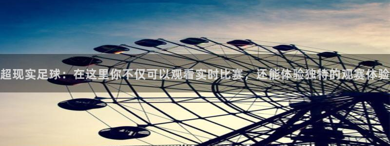 360体育无插件直播：超现实足球：在这里你不仅可以观看实时比赛，还能体验独特的观赛体验