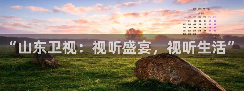雨燕360直播高清nba：“山东卫视：视听盛宴，视听生活”